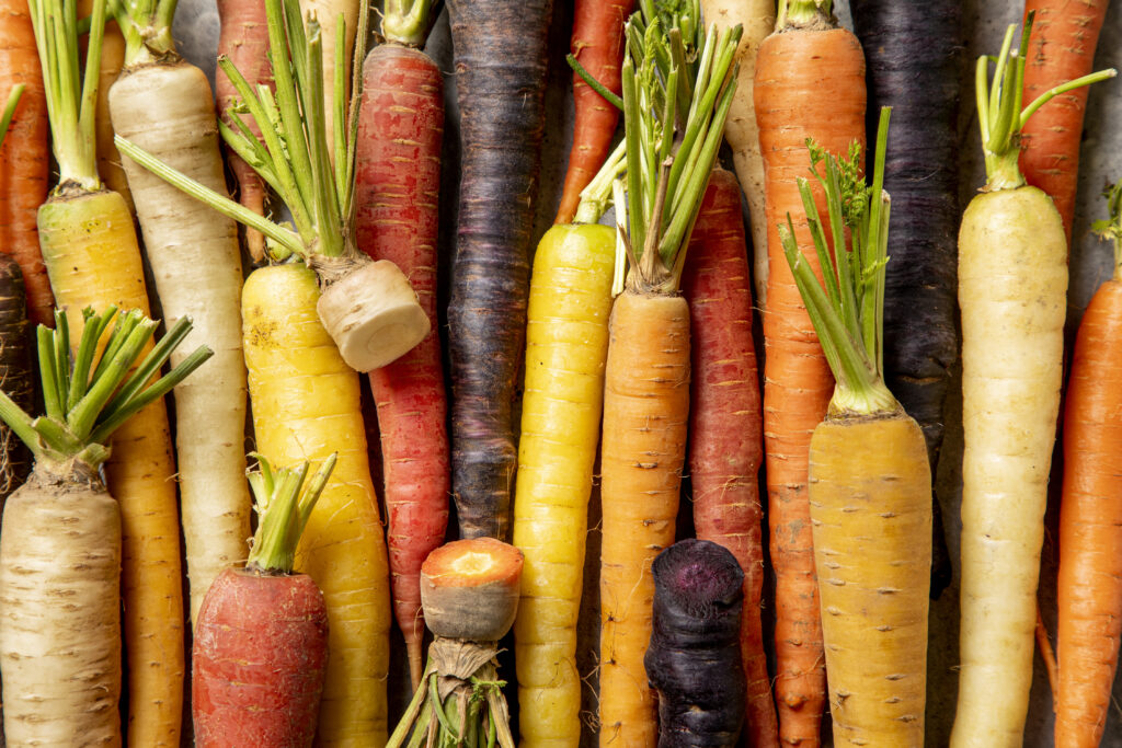 carrots-combined-4-1